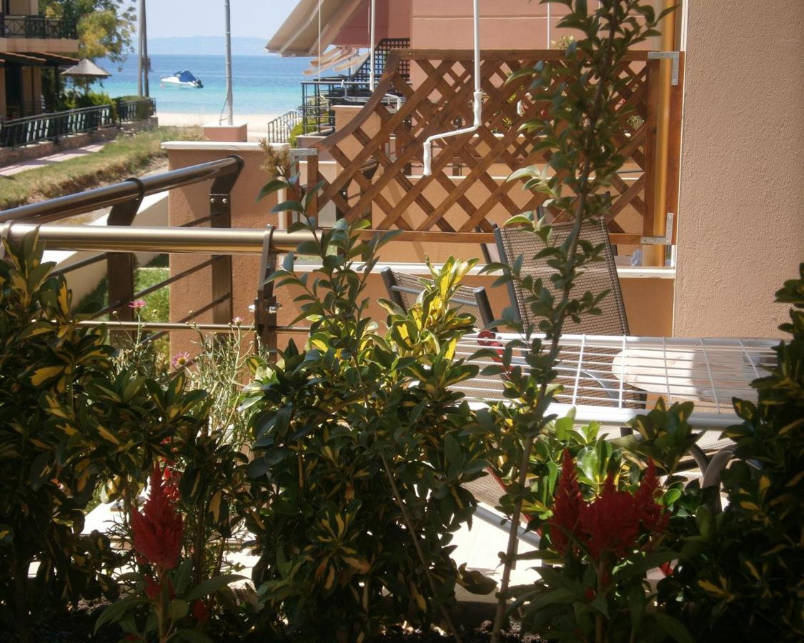 Dafni'S Seaside Luxury Studios 尼基季 外观 照片